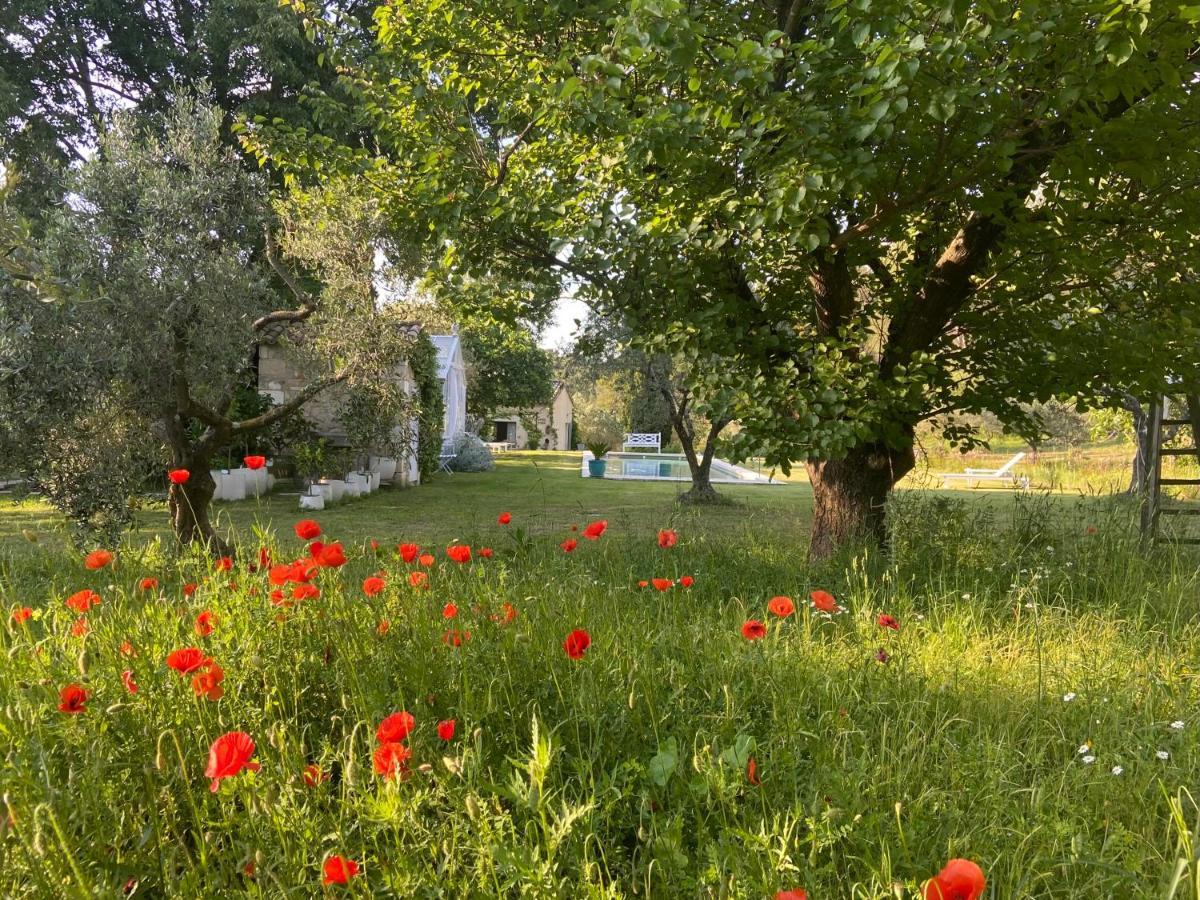 Mas De Rique Ξενοδοχείο Saint-Étienne-du-Grès Εξωτερικό φωτογραφία